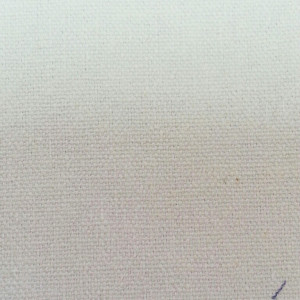 calico11