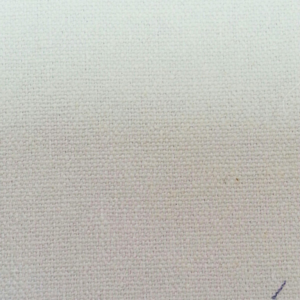 calico11