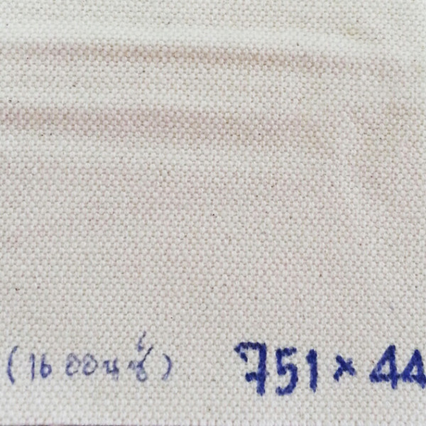 calico16