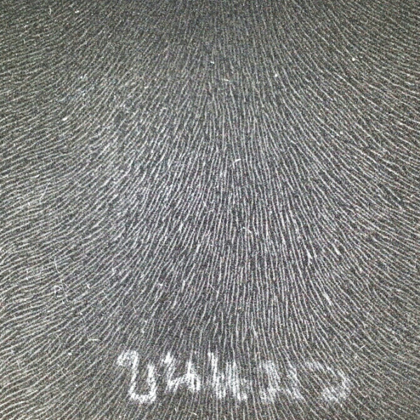 spot